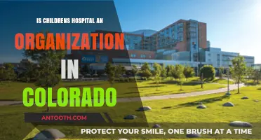 Colorado's Children's Hospital: An Organizational Overview