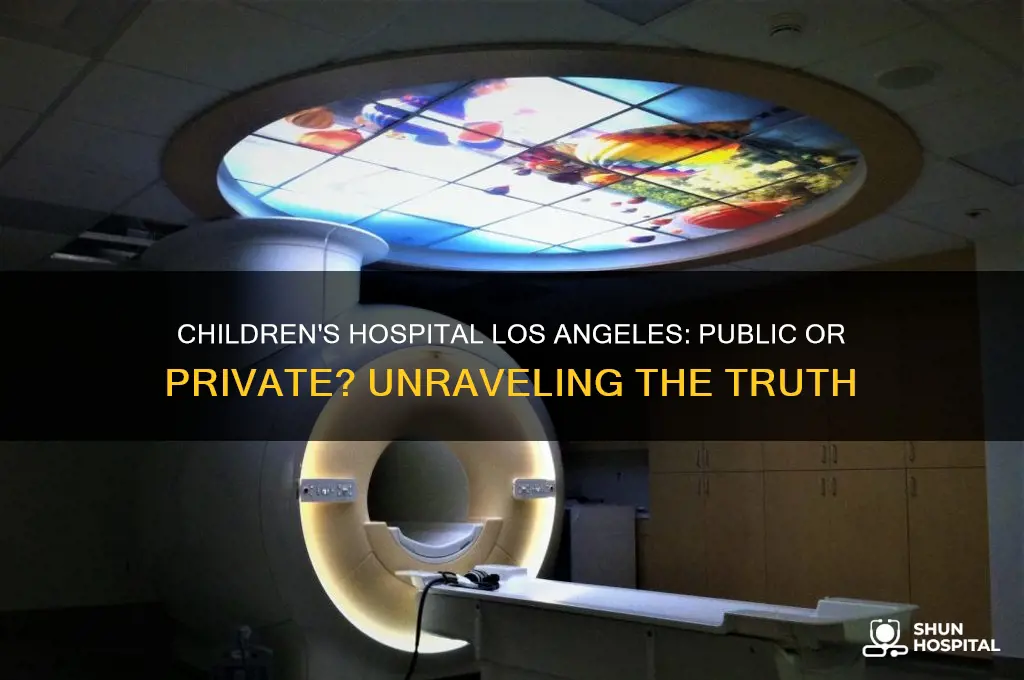 is childrens hospital los angeles a public or private hospital