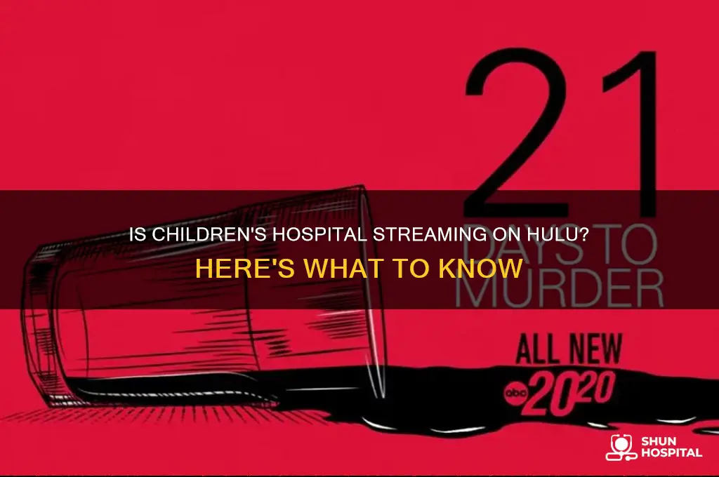is childrens hospital on hulu