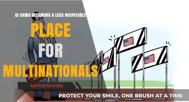 China's Shifting Landscape: Challenges for Multinational Corporations