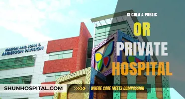 The Nature of CHLA: Public or Private?