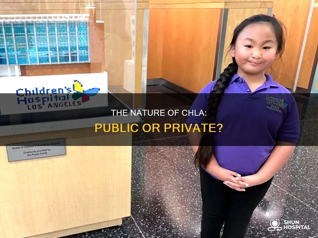 is chla a public or private hospital