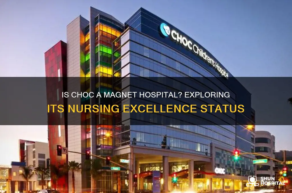is choc a magnet hospital