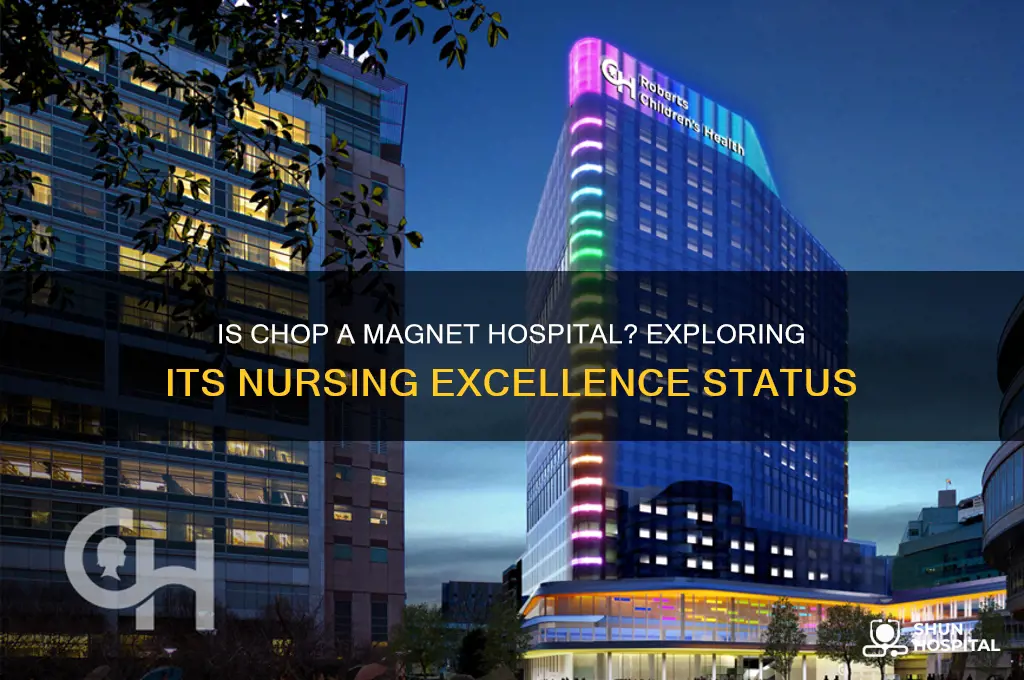 is chop a magnet hospital