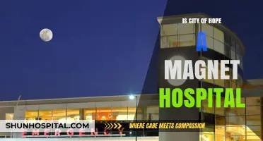 Magnet Recognition: City of Hope's Nursing Excellence