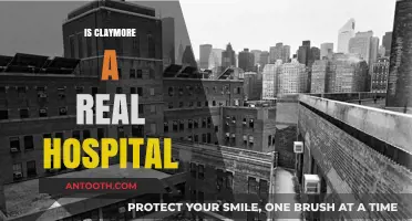 Is Claymore a Real Hospital? Uncovering the Truth Behind the Name