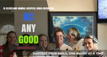 Cleveland Animal Hospital Kings Mountain NC: Quality Care Reviewed