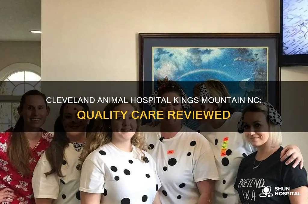 is cleveland animal hospital kings mountain nc any good