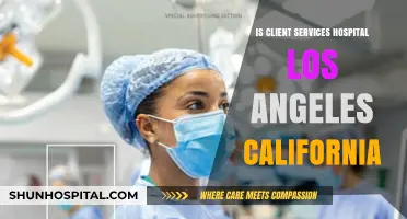 Client Services: Enhancing the Hospital Experience in LA