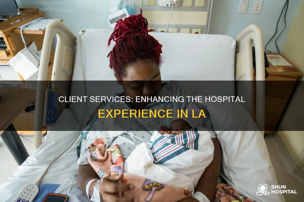 is client services hospital los angeles california