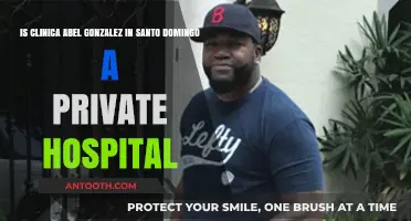 Clinica Abel Gonzalez: Private Hospital Status in Santo Domingo Explained