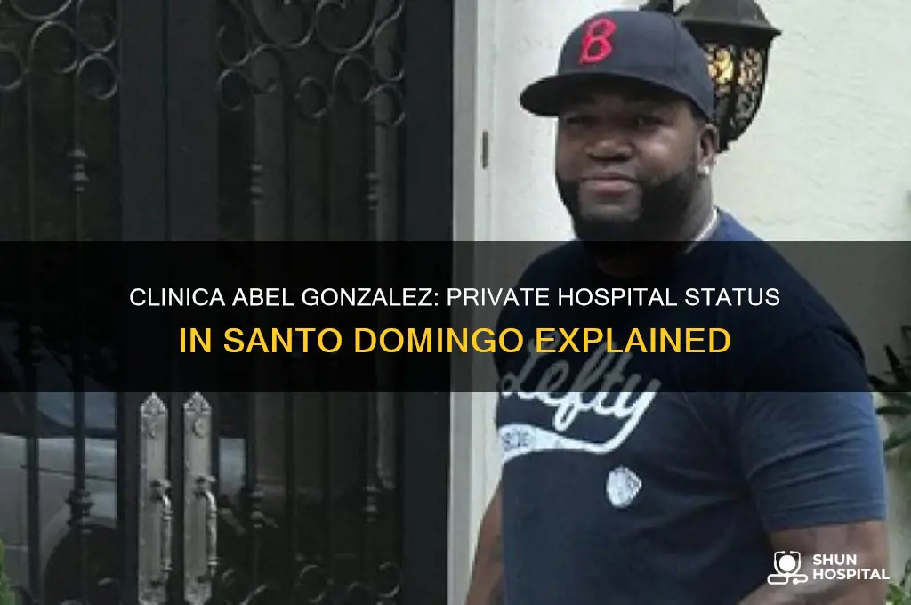 is clinica abel gonzalez in santo domingo a private hospital