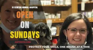 Clinton Animal Hospital: Sunday Hours and Services