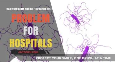 Clostridium Difficile Infections: Persistent Challenges in Hospital Settings