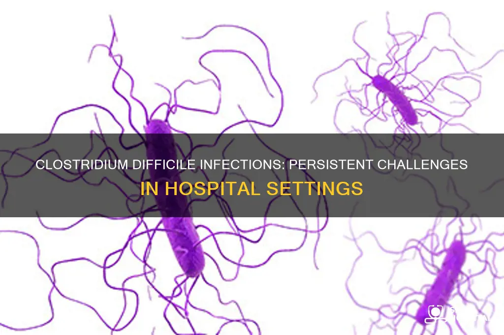 is clostridium difficile infection still a problem for hospitals