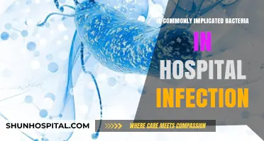 Bacteria Implicated in Hospital Infections: A Common Threat