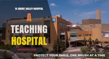 Credit Valley Hospital: Teaching Status Explored