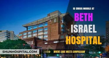 Beth Israel Hospital: Crisis Mobile Services Review