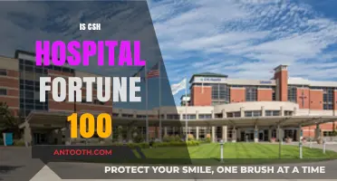 Is CSH Hospital Among Fortune 100 Companies? Exploring Its Rank