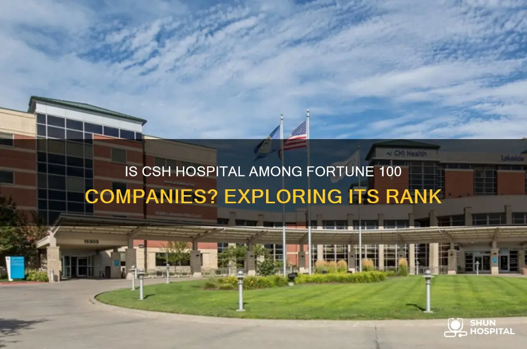 is csh hospital fortune 100