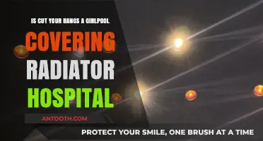 Girlpool's 'Cut Your Bangs' Cover: Radiator Hospital's Indie Charm Revived