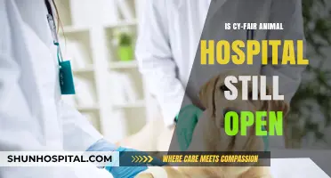 Cy-Fair Animal Hospital: Open for Business as Usual