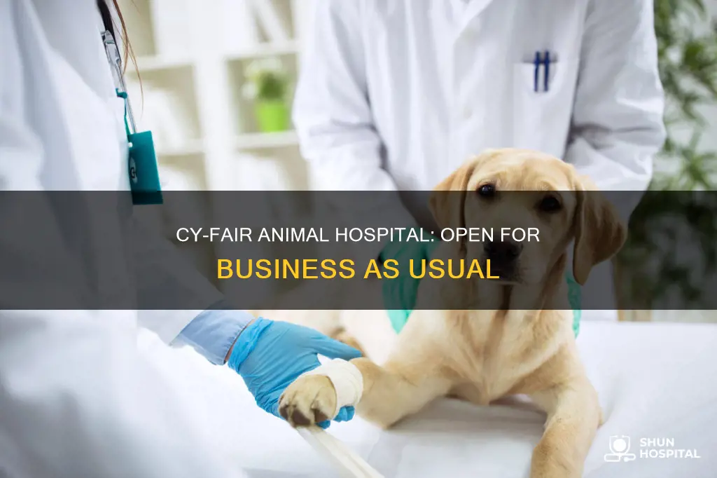 is cy-fair animal hospital still open