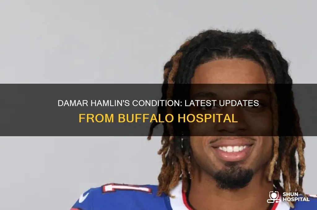 is damar in buffalo hospital