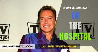 David Cassidy's Hospitalization: Truth or Hoax?