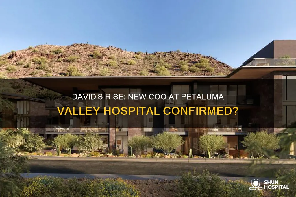is david the new coo at petaluma valley hospital