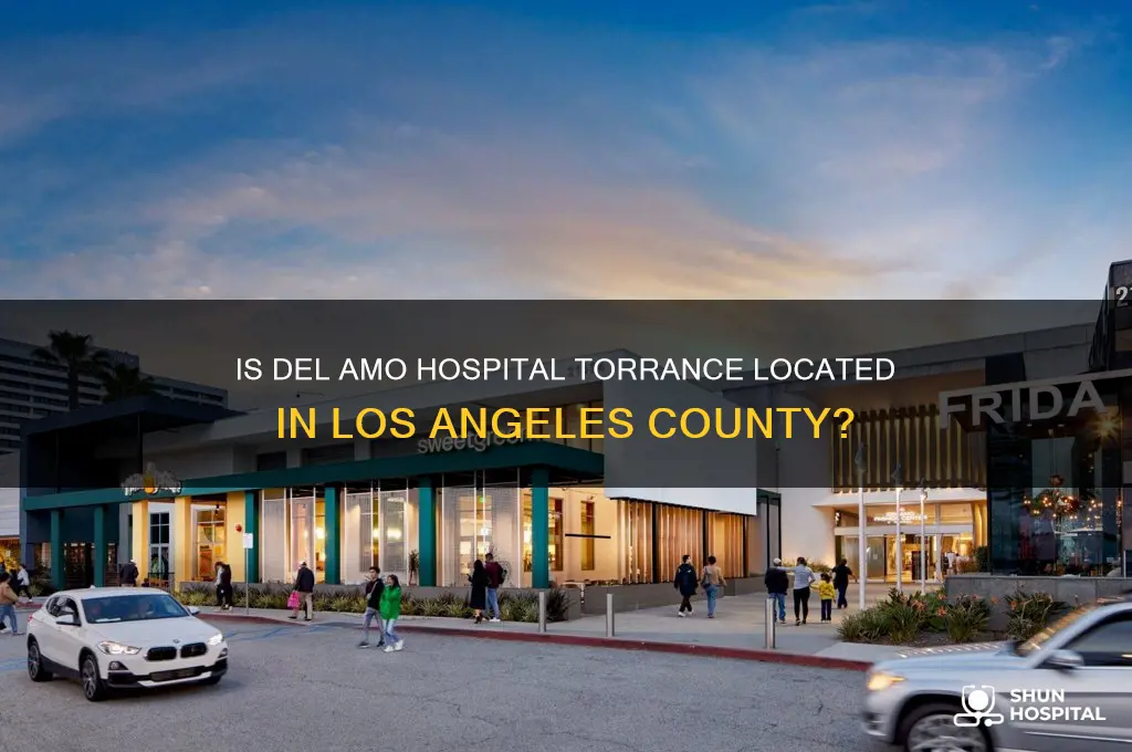 is del amo hospital torrance in los angeles county