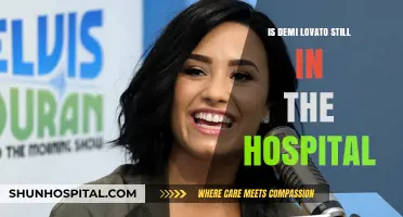 Demi Lovato's Hospitalization: What We Know So Far