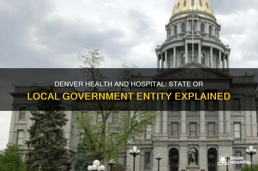is denver health and hospital a state or local government