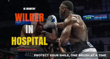 Deontay Wilder Hospitalized: Latest Updates on His Health Status