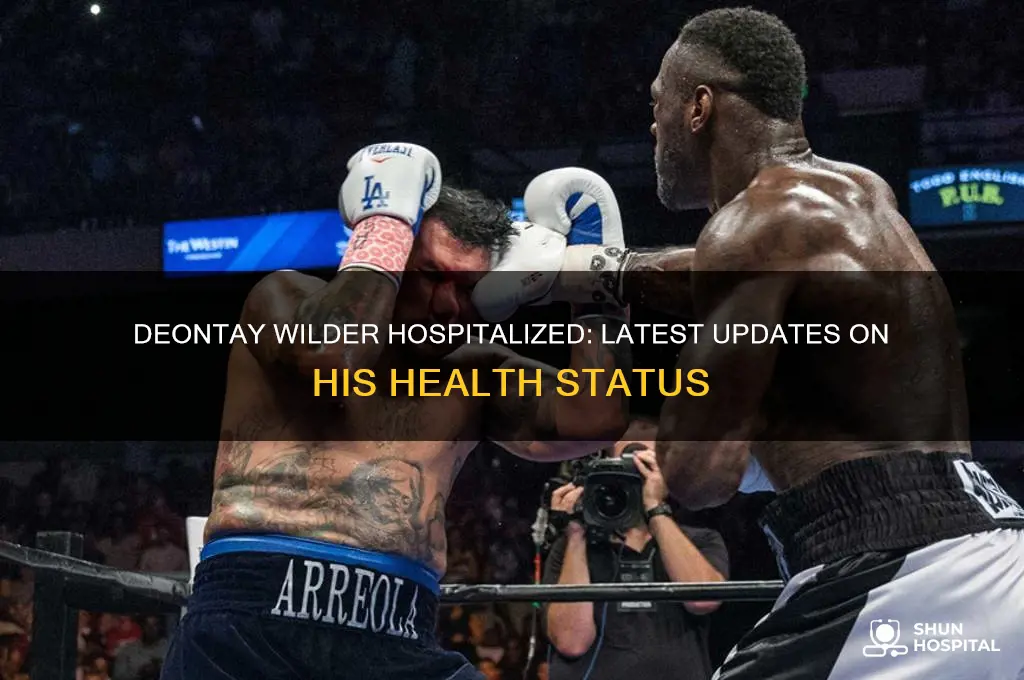 is deontay wilder in hospital