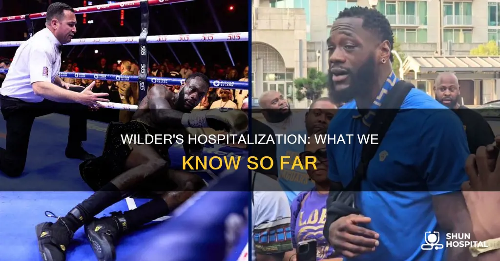 is deontay wilder still in the hospital