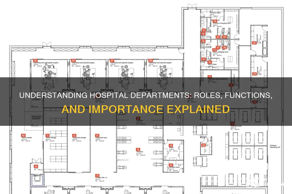 is department in hospital
