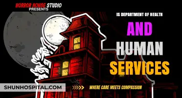 Human Services Department: What Does It Do?