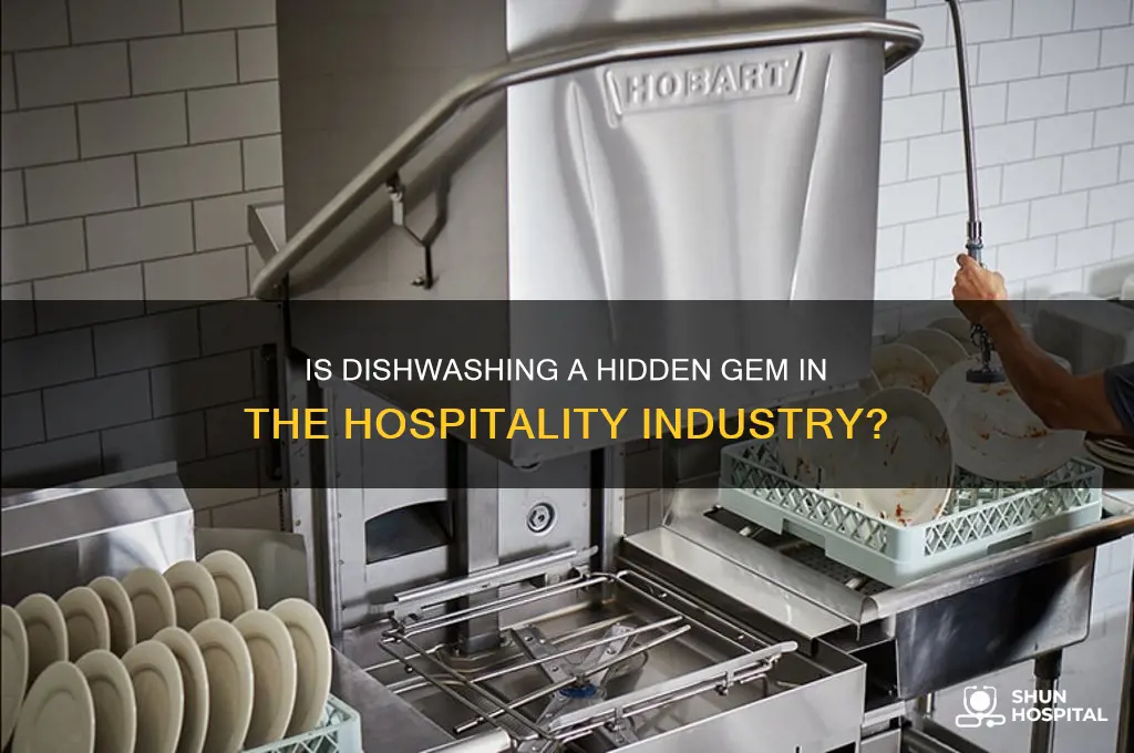 is dishwashing hospitality