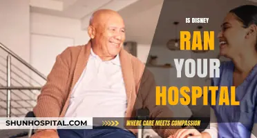 Is Your Hospital Disney-fied? Exploring Themed Healthcare Experiences