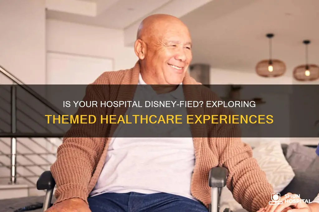 is disney ran your hospital