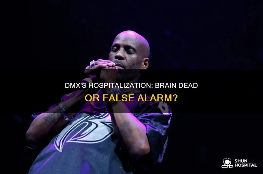 is dmx in the hospital brain dead