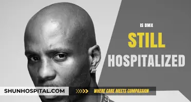 DMX Hospitalization Update: Current Health Status and Recovery Progress
