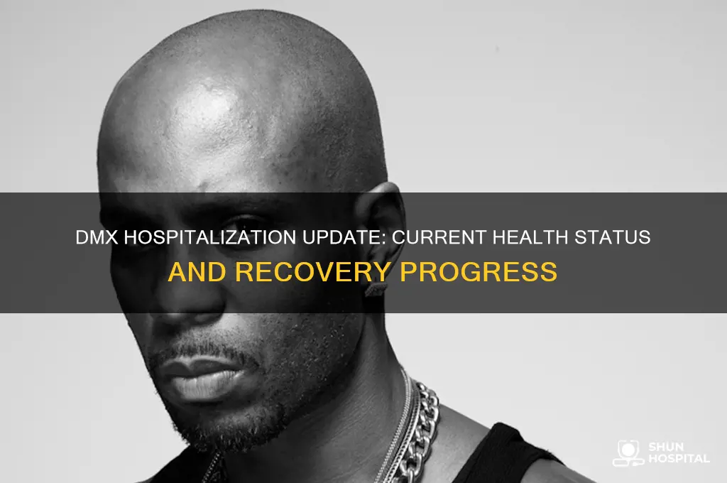 is dmx still hospitalized