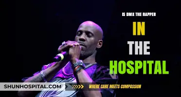 DMX's Health: Hospitalization and Recovery