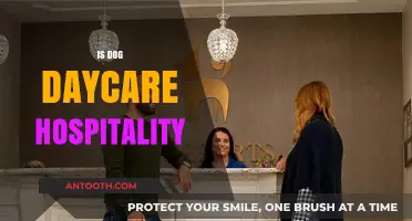 Is Dog Daycare Hospitality? Exploring Pet Care as a Service Industry