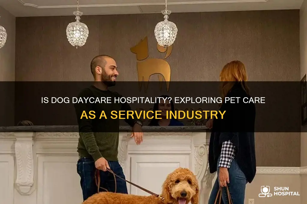 is dog daycare hospitality