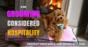 Dog Grooming: A Unique Hospitality Service for Canine Comfort