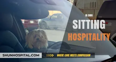 Is Dog Sitting Hospitality? Exploring the Role of Pet Care in Travel