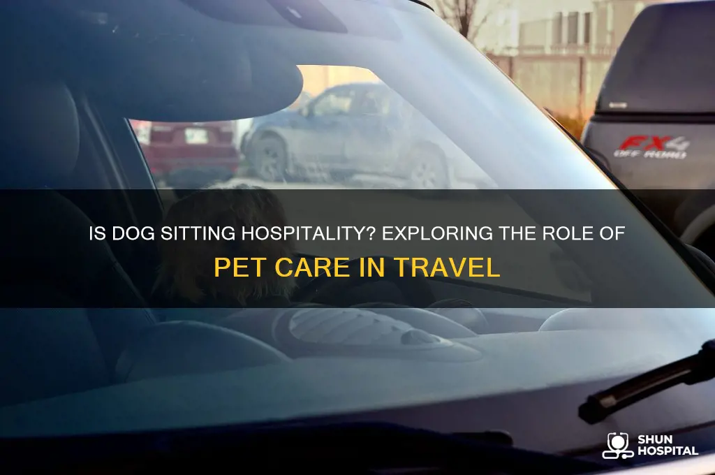 is dog sitting hospitality